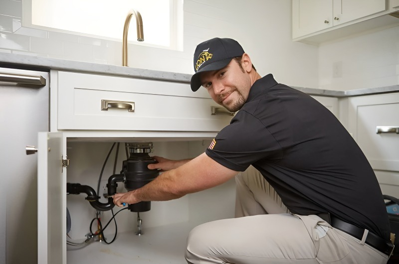 Garbage Disposal repair in Orange